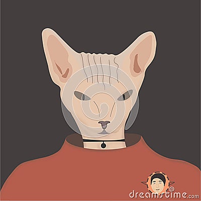 Furry Cat in clothes cats main sphinx Stock Photo